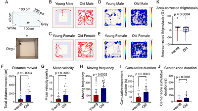 Age-Associated Behavioral Alterations in Laboratory-Housed Octodon degus