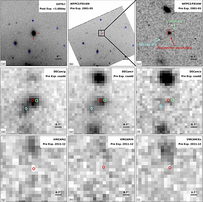 Discovery of a variable yellow supergiant progenitor for the Type IIb SN
  2024abfo