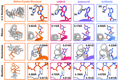 Experimentally Tuned Protein-RNA Rosetta Score Function using Bayesian Optimization