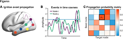 Intrinsic ignition-based propagation networks reveal hierarchical propagation pathways of spontaneous activity in the human brain