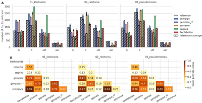 Gempipe: a tool for drafting, curating and analyzing pan and multi-strain genome-scale metabolic models.