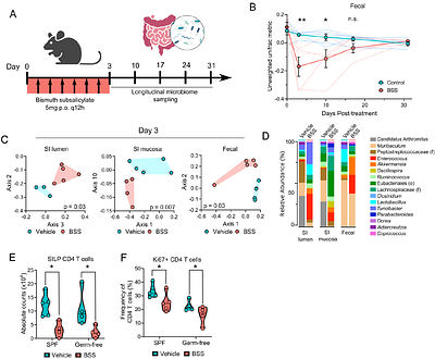 Sulfide is a keystone metabolite for gut homeostasis and immunity