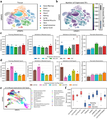 scDynOmics: An Optimized Transformer Model for Representation Learning from Single-Cell Multiomics