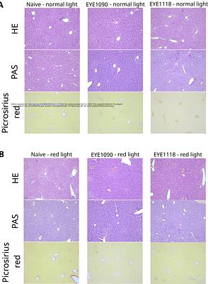 Three nitrogen atoms turn old kinase inhibitors into new targetable remedy