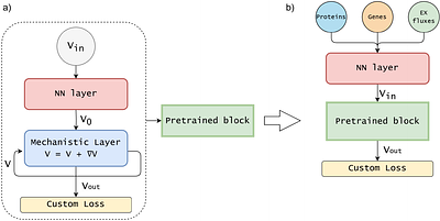 MINN: A METABOLIC-INFORMED NEURAL NETWORK FOR INTEGRATING OMICS DATA INTO GENOME-SCALE METABOLIC MODELING