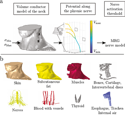 Influence of neck tissue conductivities on the phrenic nerve activation threshold during non-invasive electrical stimulation