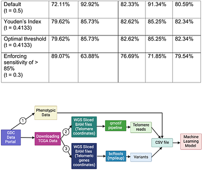A Novel Machine Learning Approach for Tumor Detection Based on Telomeric Signatures