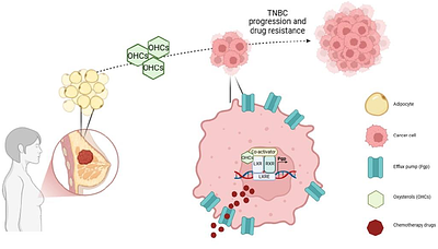 Adipocytes in tumour microenvironment promote chemoresistance in TNBC through oxysterols
