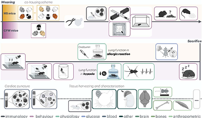 Phenome-wide genetic framework to identify mechanisms of social effects