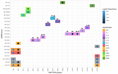 Climate associated natural selection in the human mitochondrial genome