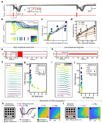 An artefact-resilient wide bandwidth bidirectional graphene neural interface