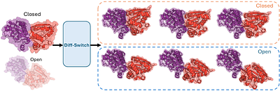 De Novo Design of Protein Switches with Diffusion-Based Ensemble Sampling