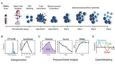 Functional immune profiling reveals CD4+ T cell dysregulation associated with celiac disease