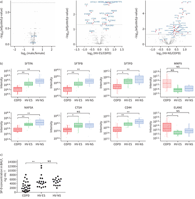 Evolution of ion channels in the water-to-land transition of vertebrates