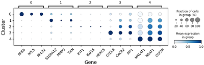 A mathematical framework for human neutrophil state transitions inferred from single-cell RNA sequence data