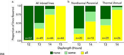 Novel major loci shape habitat-associated flowering time variation in Yellowstone monkeyflowers