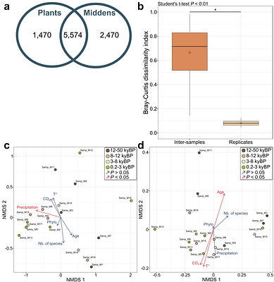 Paleometabolomics reveals impacts of abiotic factors on rodent midden metabolism over the last 50,000 years.