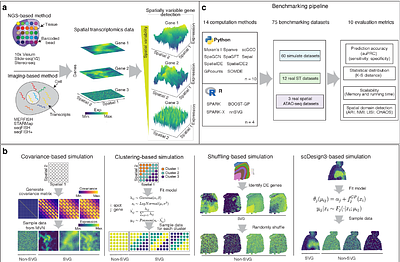 Benchmarking computational methods to identify spatially variable genes and peaks