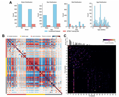 Integrating supervised and unsupervised machine learning for behavior segmentation reveals latent frailty signatures and improves aging clocks in isogenic and outbred mice