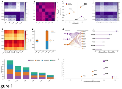 Integrative computational toxicology reveals PFOS and PFHxS associated inflammatory keratinocyte niches in psoriasis through exposure transcriptomics, single-cell spatial mapping and token-aware virtual perturbation