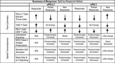 Patient-Derived Three-Dimensional Lung Tumor Models to Evaluate Response to Immunotherapy