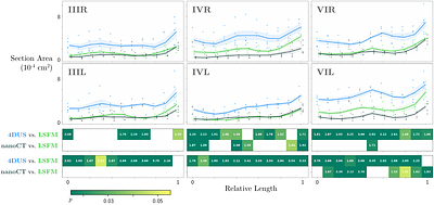3D vascular quantitation with application to computational modeling: a pre-clinical light sheet microscopy, high resolution ultrasound, nano-computed tomography comparison study