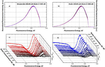 Cooperativity and Conformational Rearrangements in Protein-Protein and Protein-Ligand Interactions