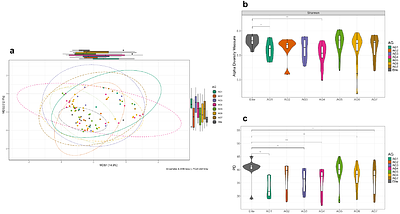 Unearthing the rhizosphere microbiome recruited by ancestral bread wheat landraces