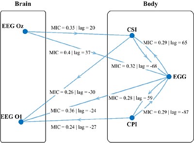 Infra-slow brain-heart-gut electrophysiological interactions reveal a coordinated multisystem physiological network in humans