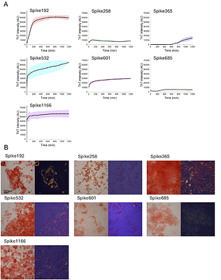 SARS-CoV-2 spike protein amyloid fibrils impair fibrin formation and fibrinolysis