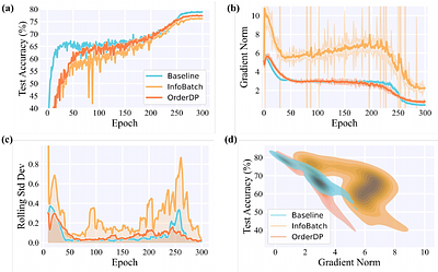 OrderDP: A Theoretically Guaranteed Lossless Dynamic Data Pruning Framework