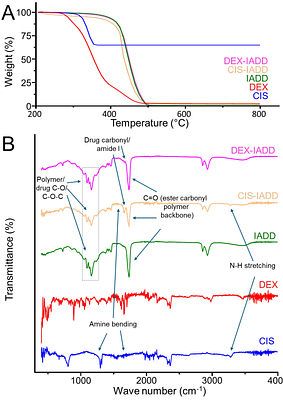 Biodegradable Intra-arterial Devices for Focal Drug Delivery to Targeted Organs