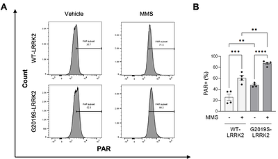 Parkinson's disease linked LRRK2 G2019S drives oxidative nuclear DNA damage and PARP1 hyperactive signaling