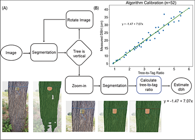 A low-cost, AI-powered Measurement Verification and Reporting System for growing trees with smallholder farmers