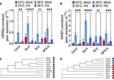 Distinct mechanisms of plant immune resilience revealed by natural variation in warm temperature-modulated disease resistance among Arabidopsis accessions