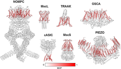 Improved Anisotropic Network Models for Membrane Protein Dynamics and Mechanosensitive Ion Channels