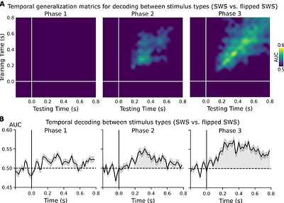 Isolating neural signatures of conscious speech perception with a no-report sine-wave speechparadigm