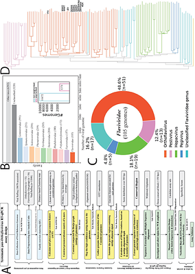 Alignment-Free Guided Design of a Pan-Orthoflavivirus RT-qPCR Assay