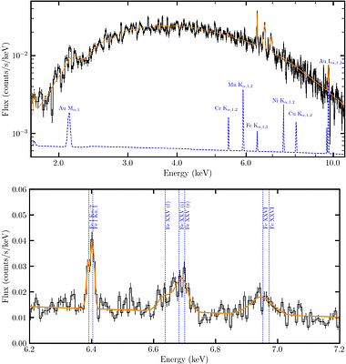 XRISM Reveals a Remnant Torus in the Low-Luminosity AGN M81*