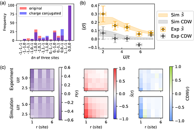 Topological Phases, Criticality, and Mixed State Order in a Hubbard
  Quantum Simulator