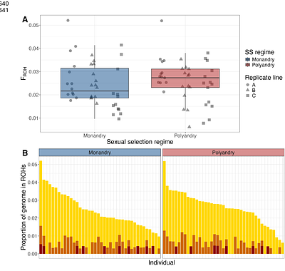 Sexual selection purges mutation load, but not overall genetic diversity in populations, decreasing vulnerability to extinction
