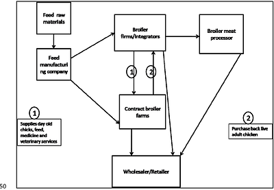Environmental impacts of Broiler chicken production in the North Eastern Himalayan region of India: Evaluation using the Life Cycle Assessment approach