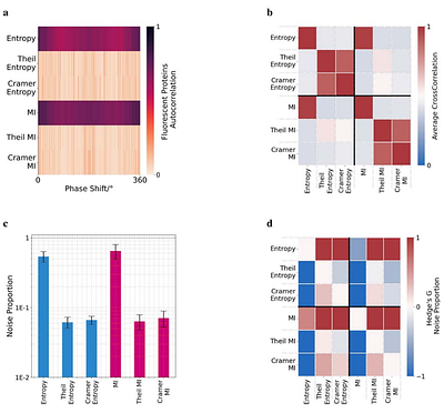 Decoupled Information Theoretic Feature Selection for Rapid Protein Key Tuning Residue Identification