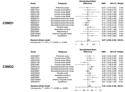 Dissociation Between Genetic Risk and Transcriptional Output in Schizophrenia: A Cross-Tissue Meta-Analysis of CSMD1 and CSMD2 Expression