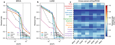 A residual-ratio framework for auditing transcriptomic gene signatures against background expression structure