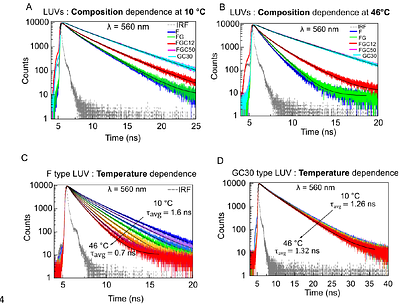 Excited state Relaxation Activation Energy (ESRAct) of Di-4-ANEPPDHQ Maps Nanoscale Molecular Organization in Biomembranes