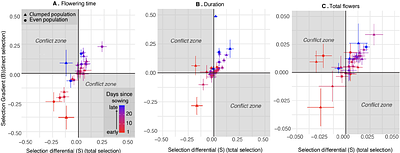 Longitudinal and cross-sectional selection on flowering traits in a self-incompatible annual.