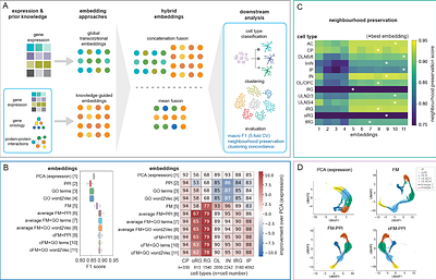 scRepresenter: a workflow for computing, integrating and benchmarking cellular representations in single-cell transcriptomics
