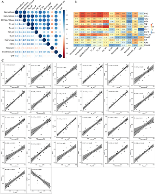Integrative Transcriptomic and miRNA Analysis Reveals Immune Suppression and Metabolic Reprogramming in FGFR3-TACC3 Fusion-Positive versus Fusion-Negative Bladder Cancer