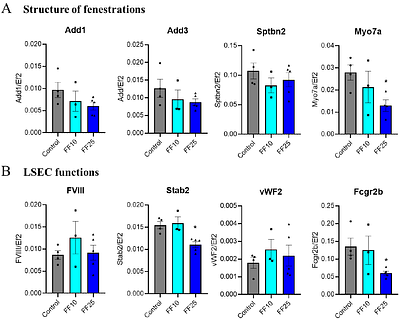 Differential effects of fenofibrate and fenofibric acid on the regulation of liver endothelial permeability